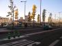  jeunes arbres de l'avenue de France (13e)